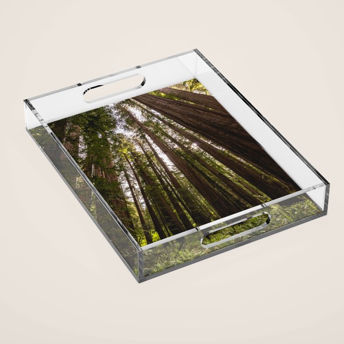 Among Giants II - 60/365 Acrylic Tray Gallery Image 1