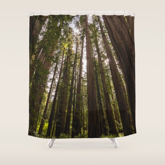 Among Giants II - 60/365 Shower Curtain Gallery Image 1
