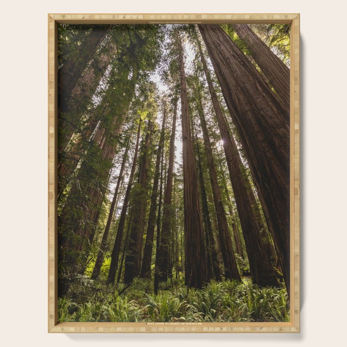 Among Giants II - 60/365 Serving Tray Gallery Image 1