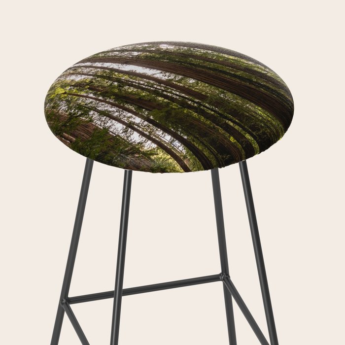 Among Giants II - 60/365 Stool Gallery Image 2