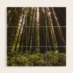 Among Giants II - 60/365 Wood Wall Art Gallery Image 1