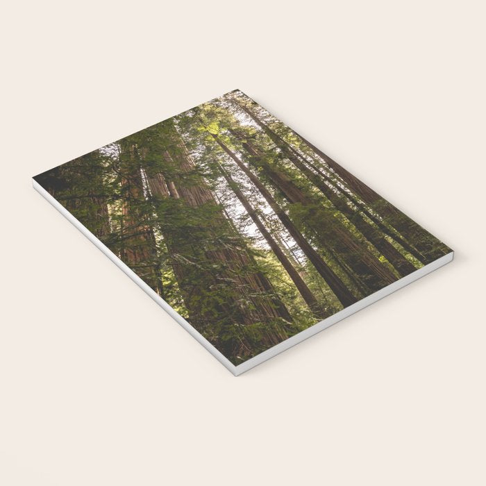 Among Giants II - 60/365 Notebook Gallery Image 3