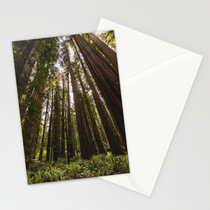 Among Giants II - 60/365 Stationery Card Gallery Image 2