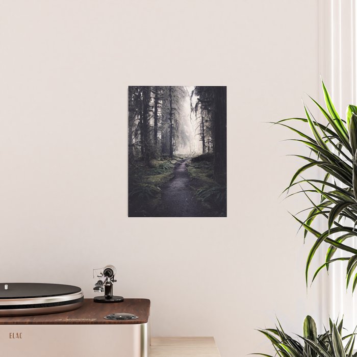 Magical Washington Rainforest Poster Gallery Image 2