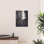 Magical Washington Rainforest Poster Gallery Image 2