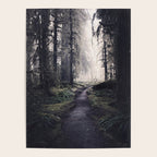 Magical Washington Rainforest Poster Gallery Image 4
