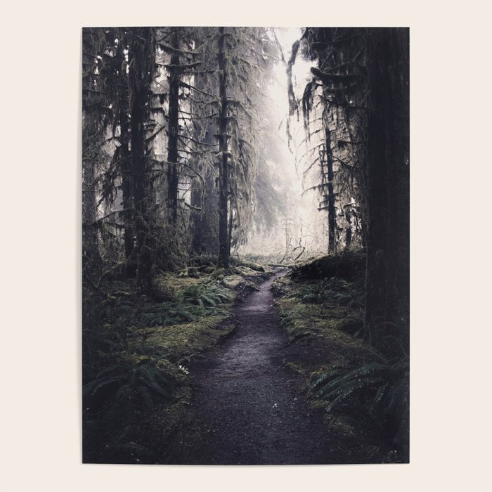 Magical Washington Rainforest Poster Gallery Image 4