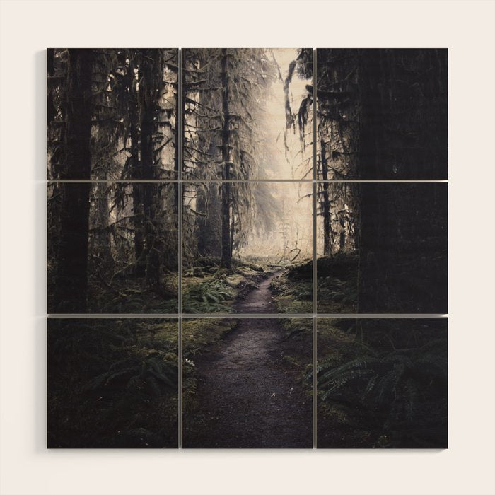 Magical Washington Rainforest Wood Wall Art Gallery Image 1