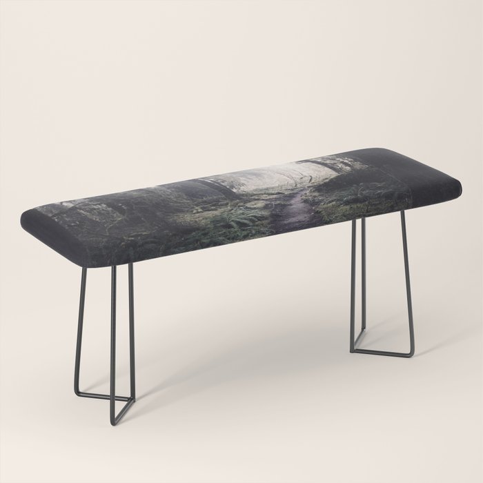 Magical Washington Rainforest Bench Gallery Image 1