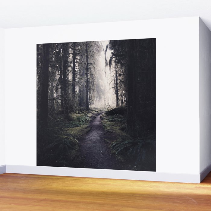 Magical Washington Rainforest Wall Mural Gallery Image 2