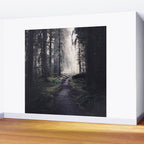 Magical Washington Rainforest Wall Mural Gallery Image 2