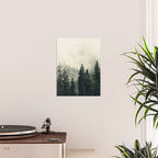 Thick pine forest in the descending mist Poster Gallery Image 2