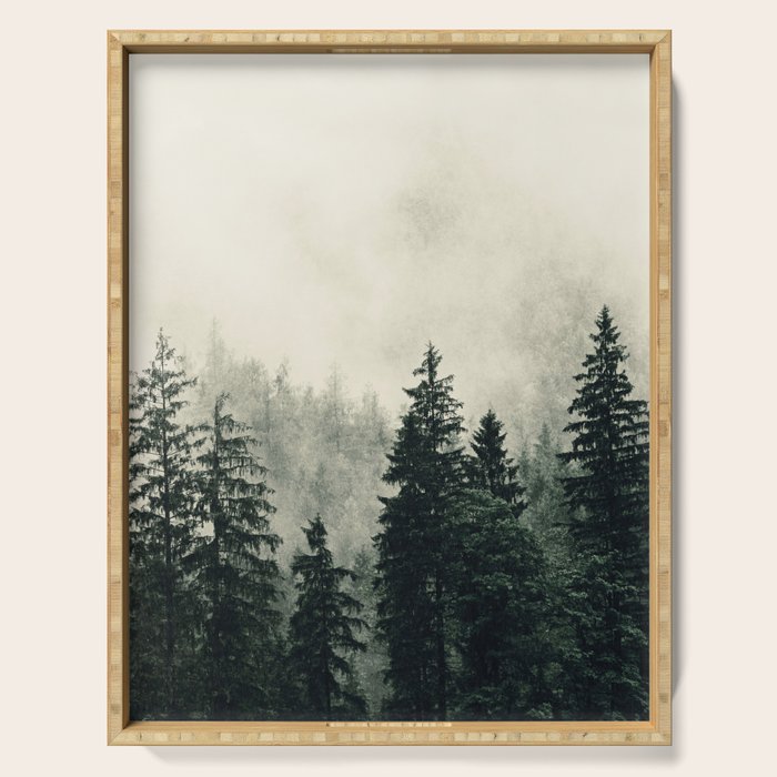 Thick pine forest in the descending mist Serving Tray Gallery Image 1