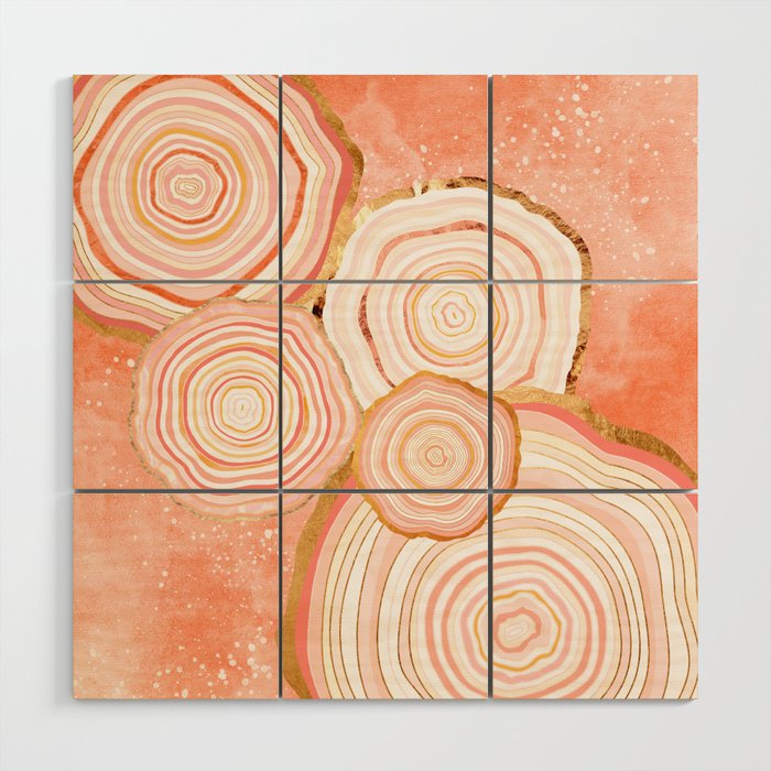 Coral Agate Abstract Wood Wall Art Gallery Image 1