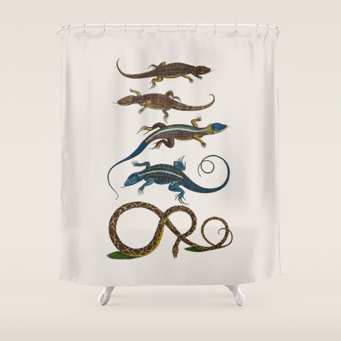 Albertus Seba Snakes And Lizards Blue Shower Curtain Gallery Image 1