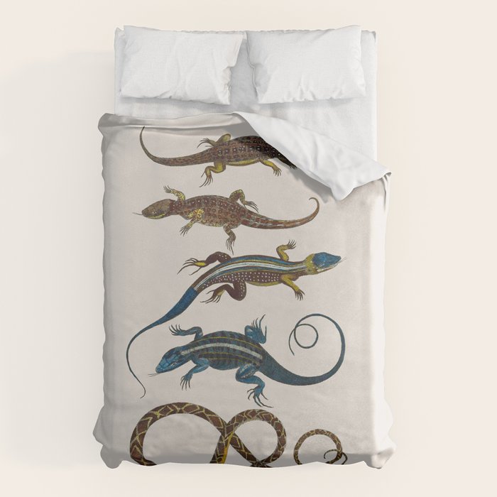 Albertus Seba Snakes And Lizards Blue Duvet Cover Gallery Image 1
