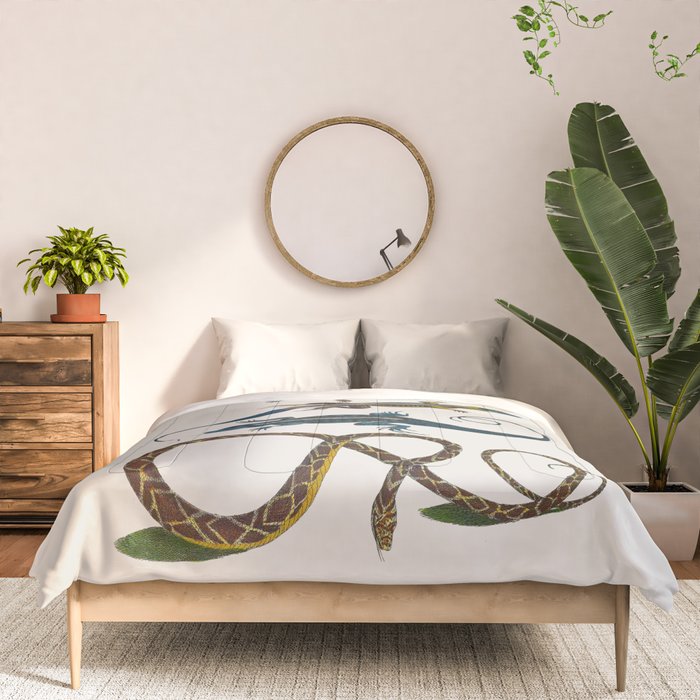 Albertus Seba Snakes And Lizards Blue Comforter Gallery Image 3