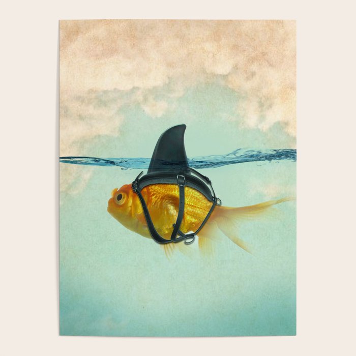 Brilliant Disguise Test Poster Gallery Image 1