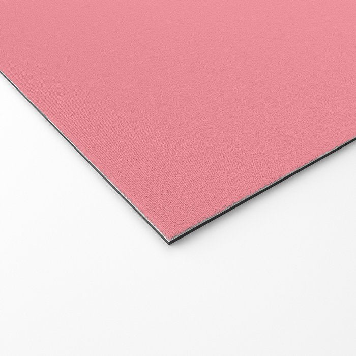 2020 Aries Welcome Mat Gallery Image 2