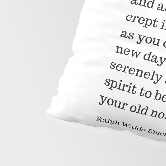 Finish Each Day And Be Done With It | Ralph Waldo Emerson Quote Pillow Sham Gallery Image 4