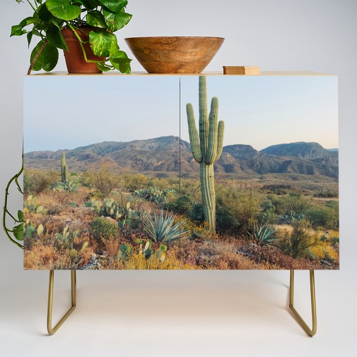 Spring in the Desert Credenza Gallery Image 1