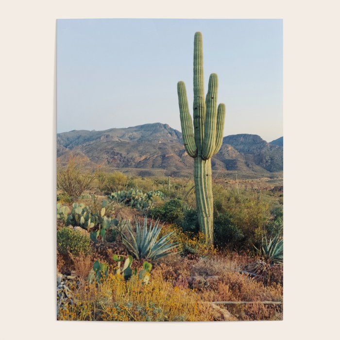 Spring in the Desert Poster Gallery Image 4