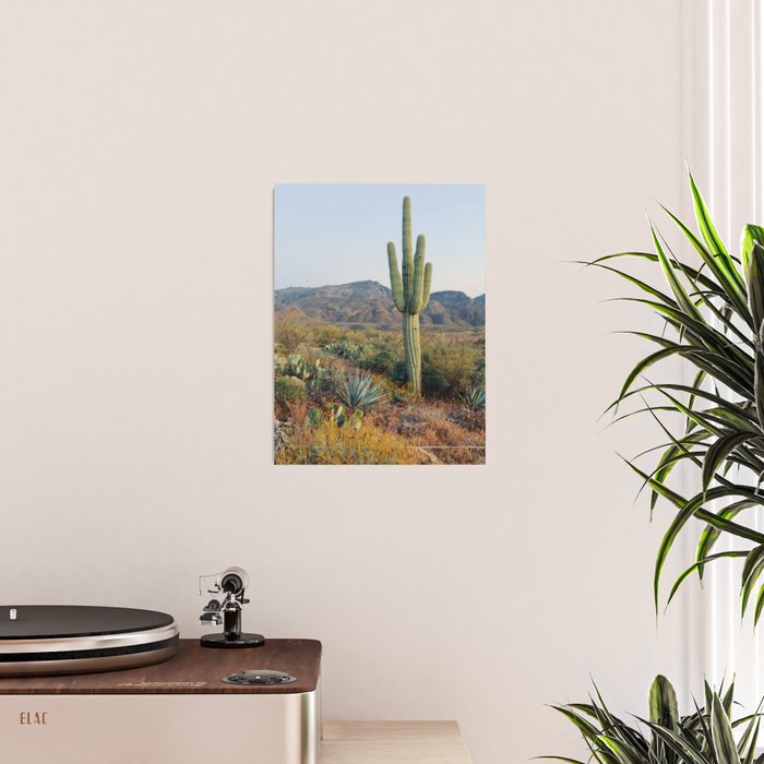 Spring in the Desert Poster Gallery Image 2