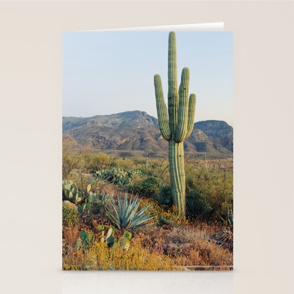 Spring in the Desert Stationery Card Gallery Image 1