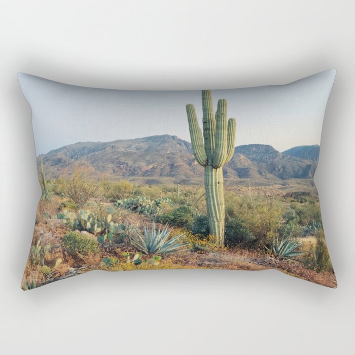 Spring in the Desert Rectangular Pillow Gallery Image 1