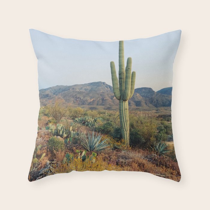 Spring in the Desert Throw Pillow Gallery Image 6