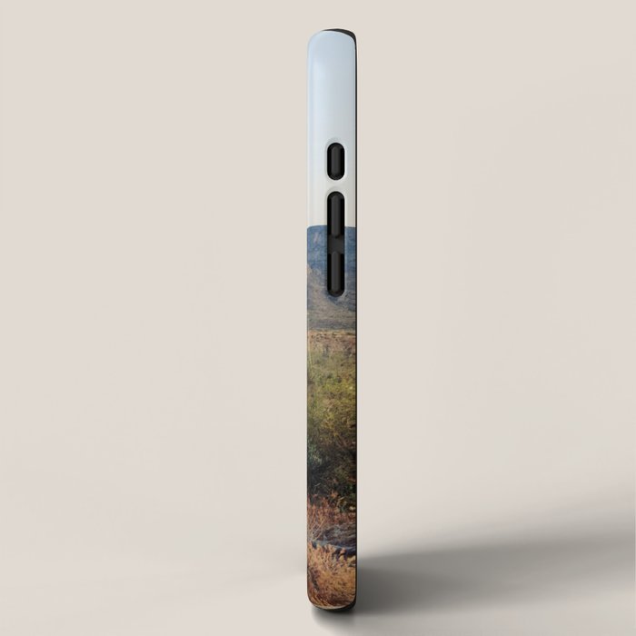 Spring in the Desert iPhone Case Gallery Image 2