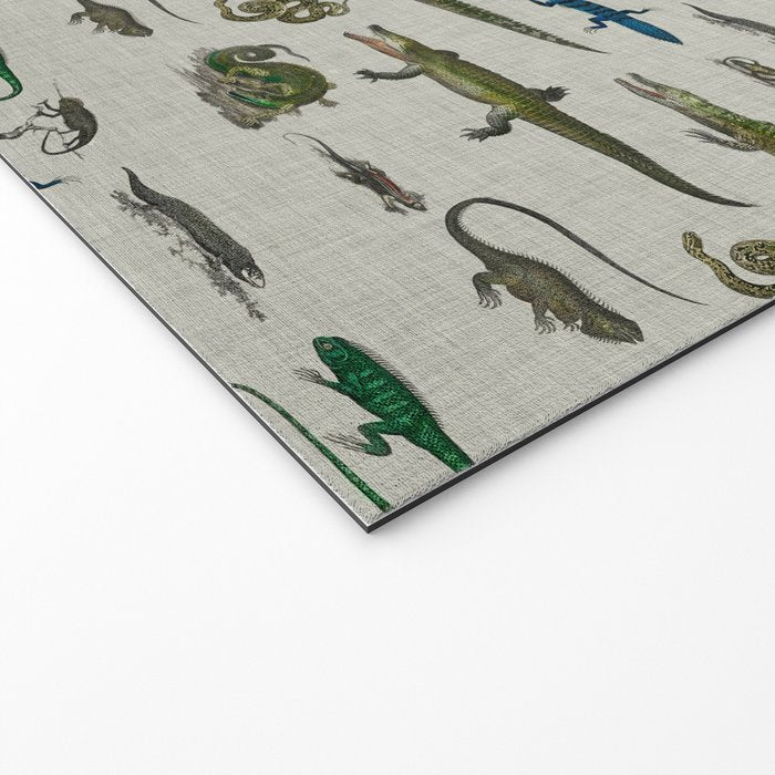 Reptiles vintage pattern Welcome Mat Gallery Image 2