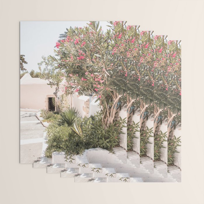 Greece Summer Scenery With Plants Photo | White Island Architecture Art Print | Europe Travel Photography Wrapping Paper Gallery Image 3