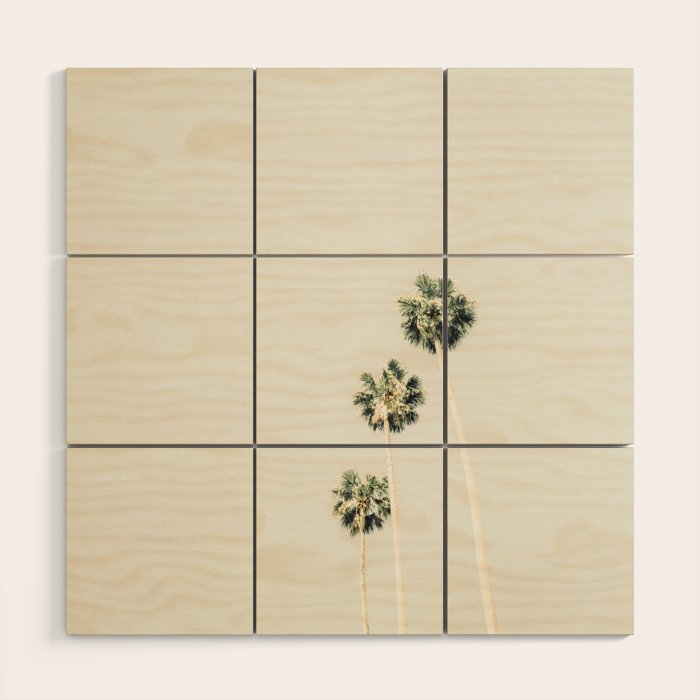 Palm Trees - Minimalist Palm Springs California Travel Photography Wood Wall Art Gallery Image 2