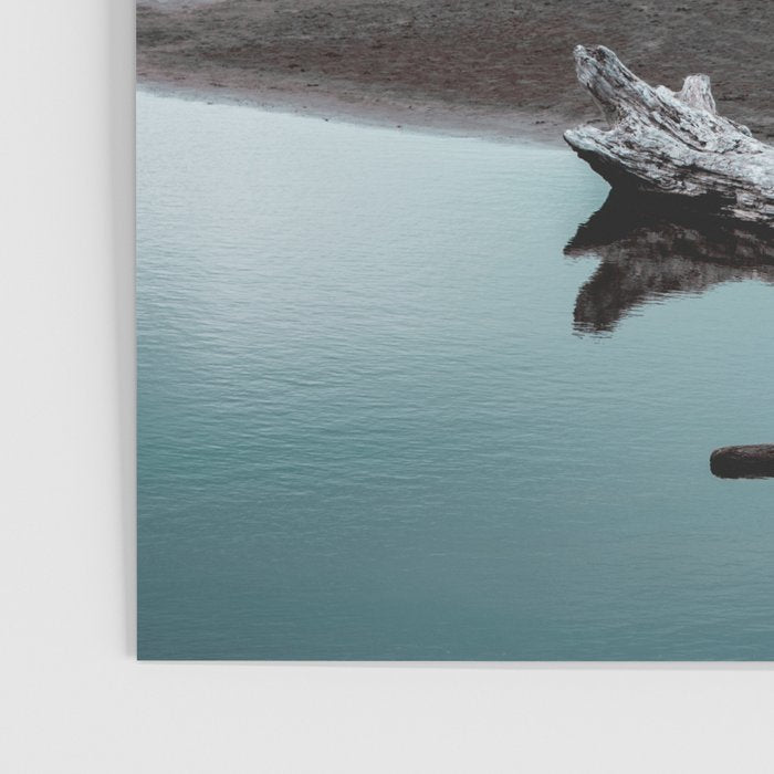 The Lost Summer - Ocean Beach Landscape Poster Gallery Image 3