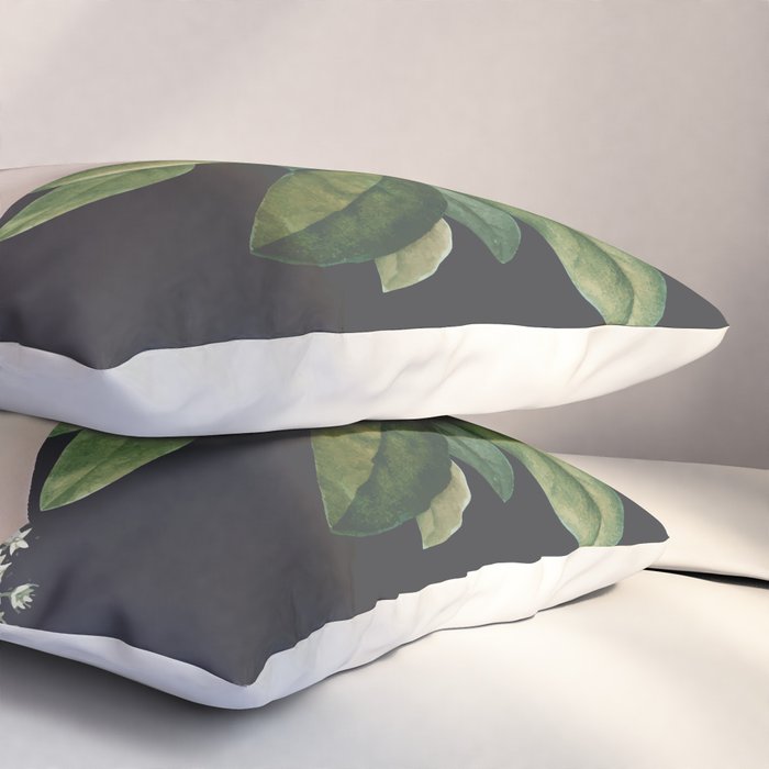 Minimal Collage/ Hand, Plants and Butterflies 7 Pillow Sham Gallery Image 3
