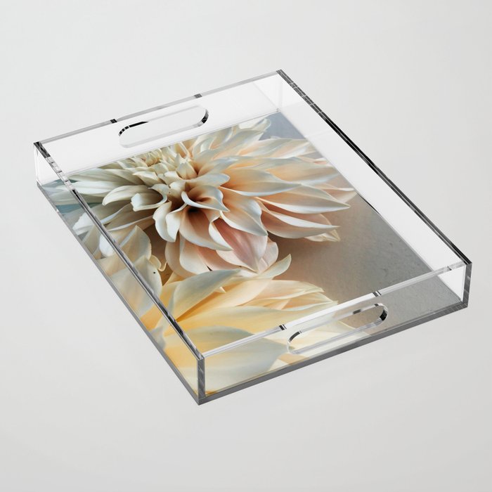 Find Your Tribe #3 - Modern Dahlia Botanical Photograph Acrylic Tray Gallery Image 1