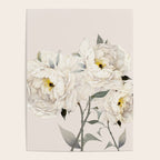 White Peonies Poster Gallery Image 4