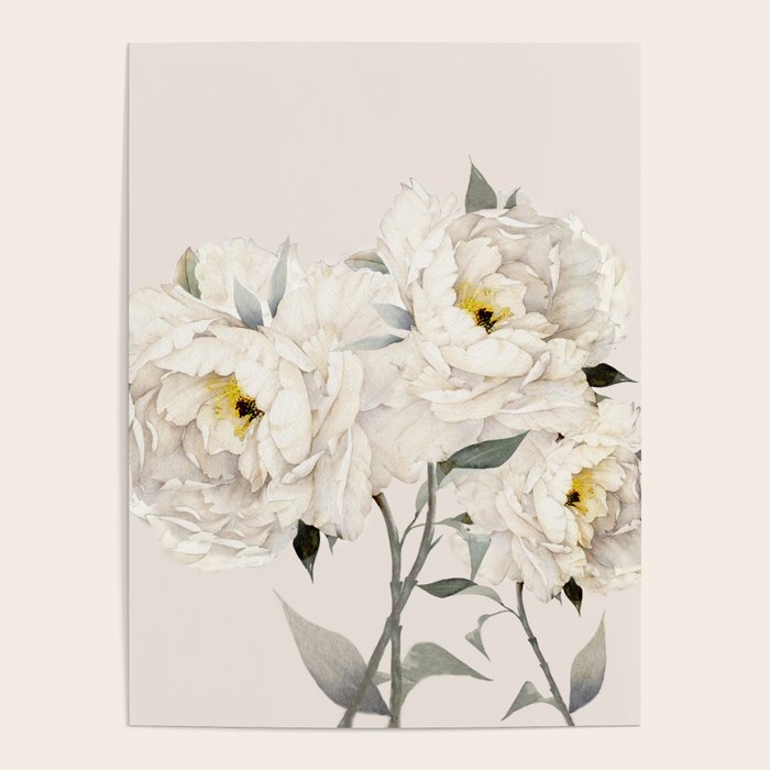 White Peonies Poster Gallery Image 4