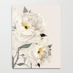White Peonies Notebook Gallery Image 4