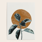 Fiscus by the sun Poster Gallery Image 4