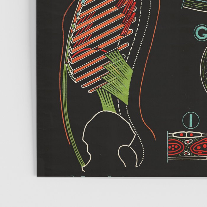 Paul Sougy: The Human Lung, 1957 (proceeds benefit The Nature Conservancy) Poster Gallery Image 3