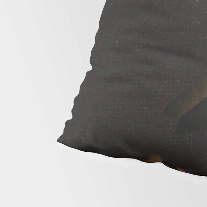240 Kasetes Pillow Sham Gallery Image 4