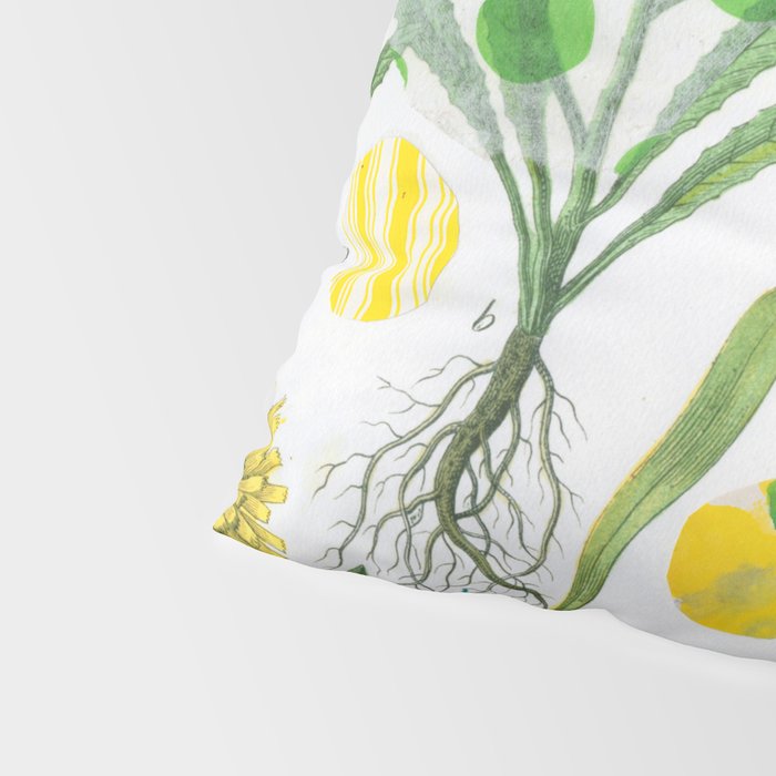 Botanical Series: Yellow Dandelion Pillow Sham Gallery Image 4