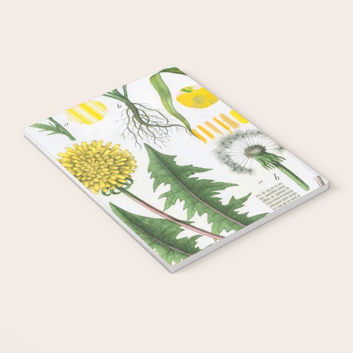 Botanical Series: Yellow Dandelion Notebook Gallery Image 3