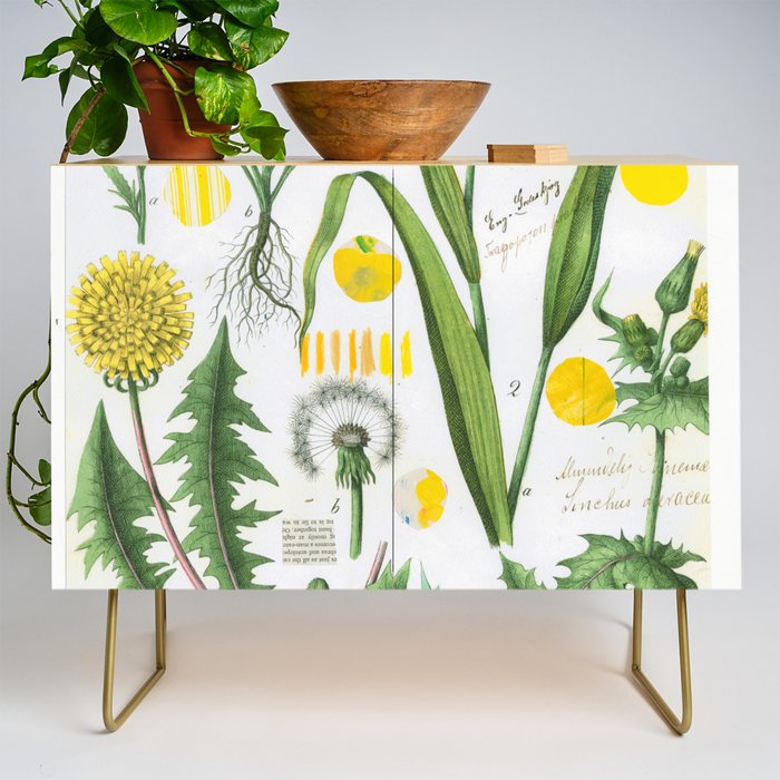 Botanical Series: Yellow Dandelion Credenza Gallery Image 1