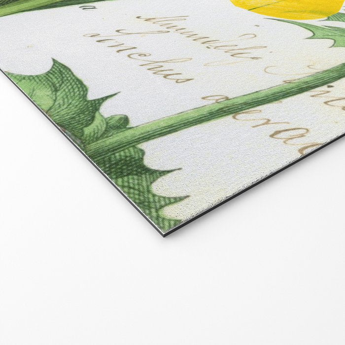Botanical Series: Yellow Dandelion Welcome Mat Gallery Image 2