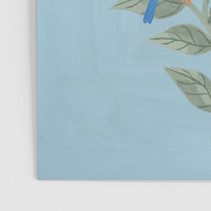 Birds in the Branches Poster Gallery Image 3