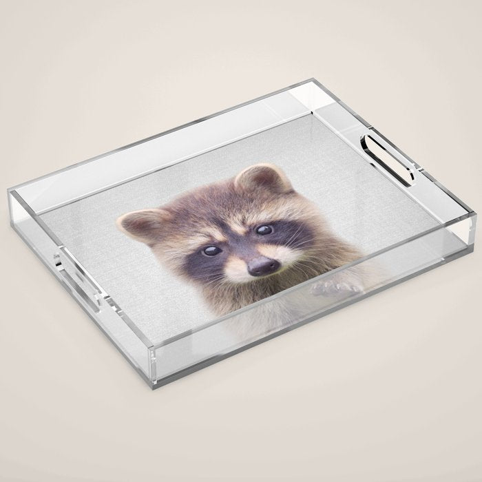 Raccoon - Colorful Acrylic Tray Gallery Image 1