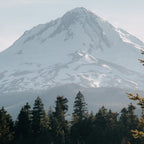 Mount Hood XIV Coffee Mug Gallery Image 2